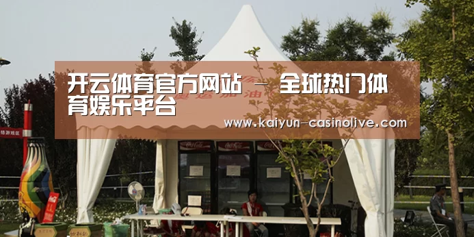案例标题五