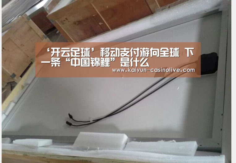 开云篮球
