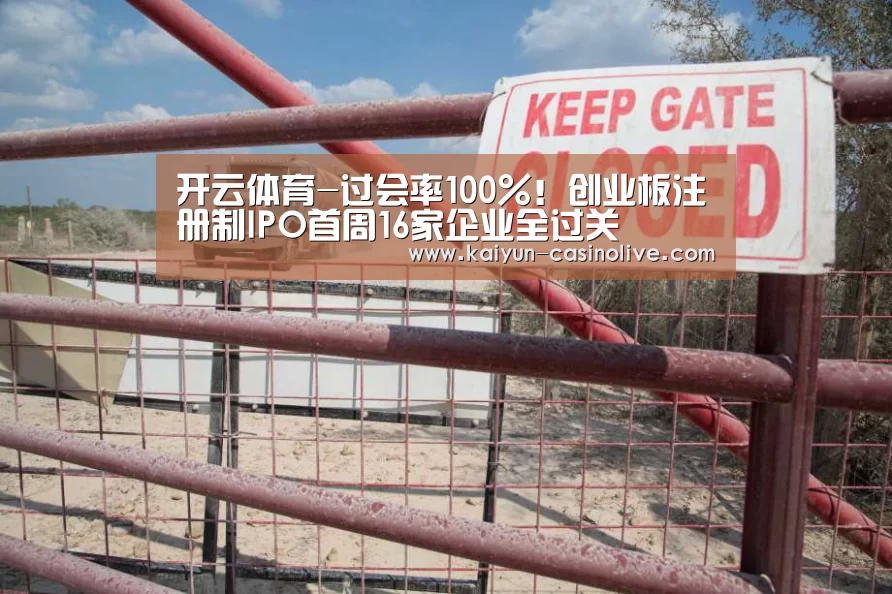 开云赛事