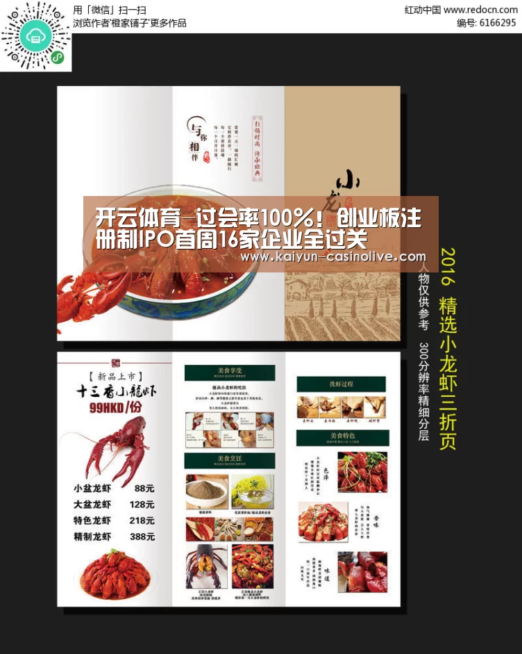 开云篮球
