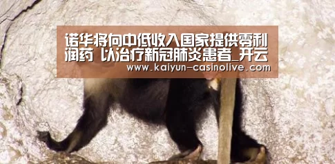 诺华将向中低收入国家提供零利润药 以治疗新冠肺炎患者_开云体育(图3) 开云体育