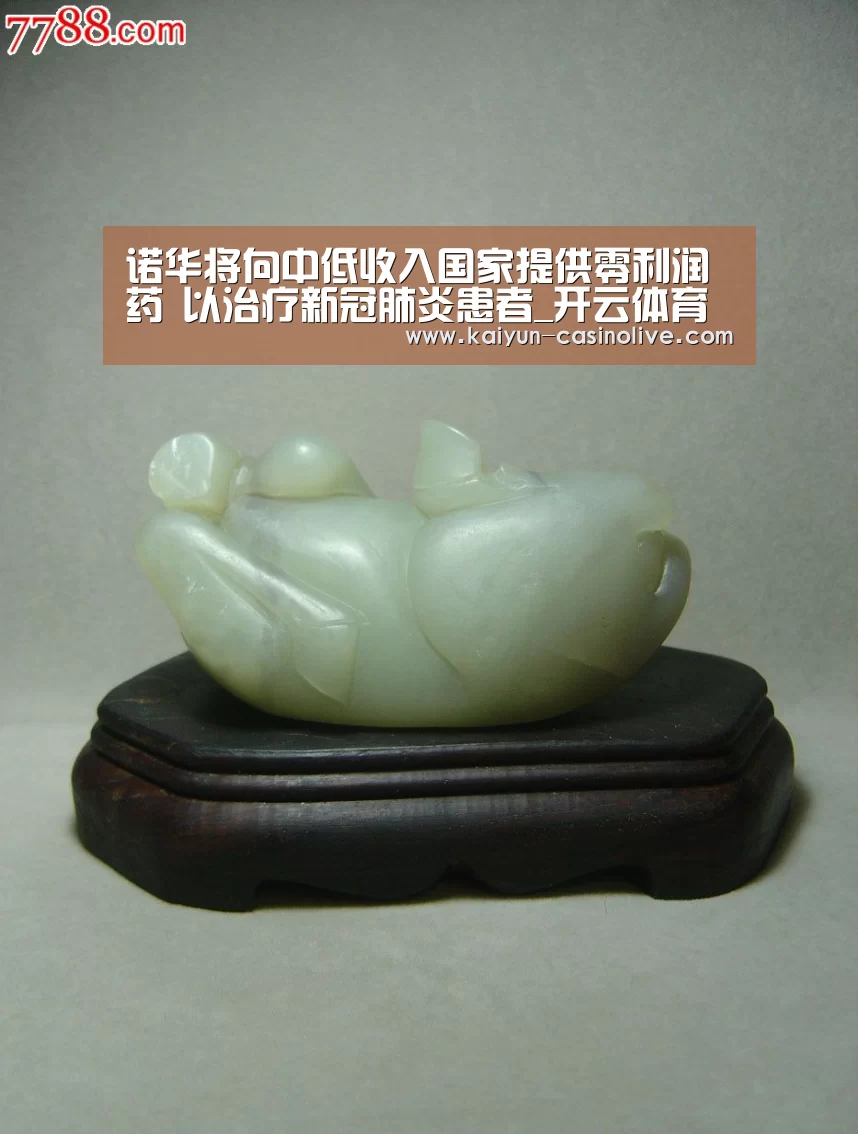 诺华将向中低收入国家提供零利润药 以治疗新冠肺炎患者_开云体育(图2) 开云足球