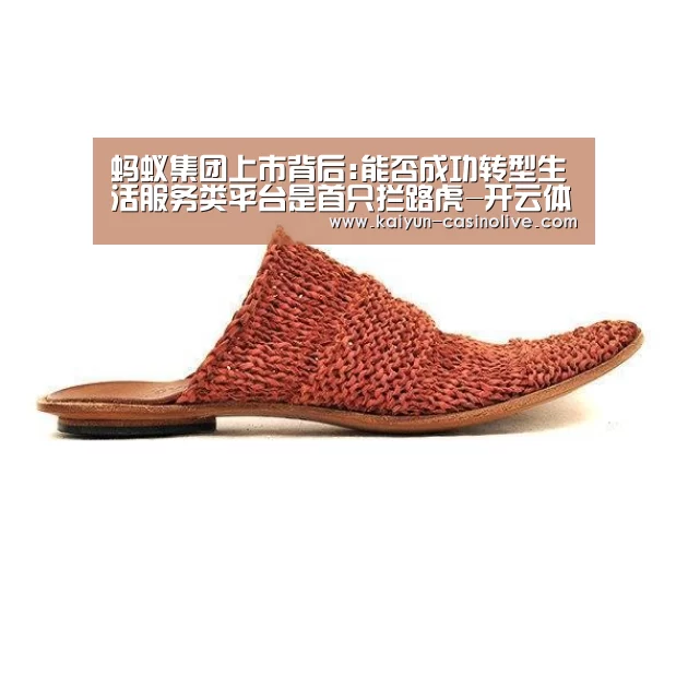 蚂蚁集团上市背后:能否成功转型生活服务类平台是首只拦路虎-开云体育(图1) 开云体育