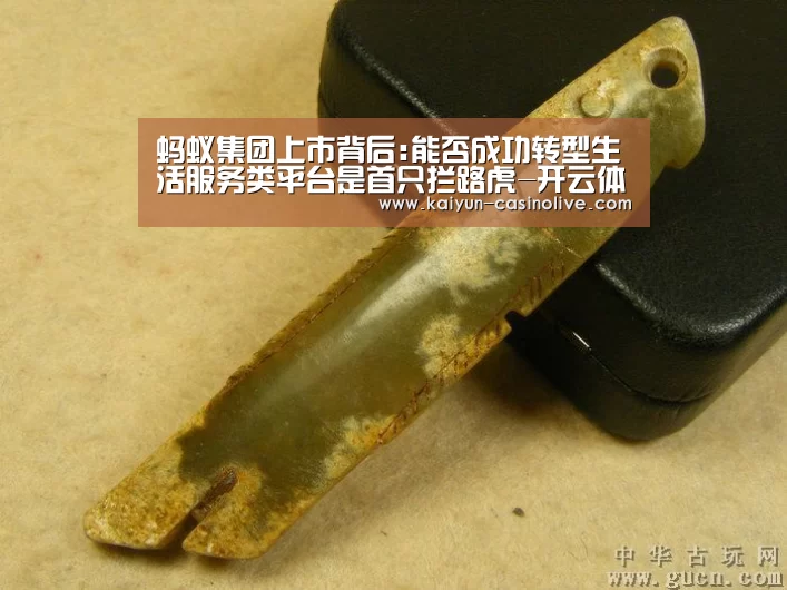 蚂蚁集团上市背后:能否成功转型生活服务类平台是首只拦路虎-开云体育(图2) 开云篮球
